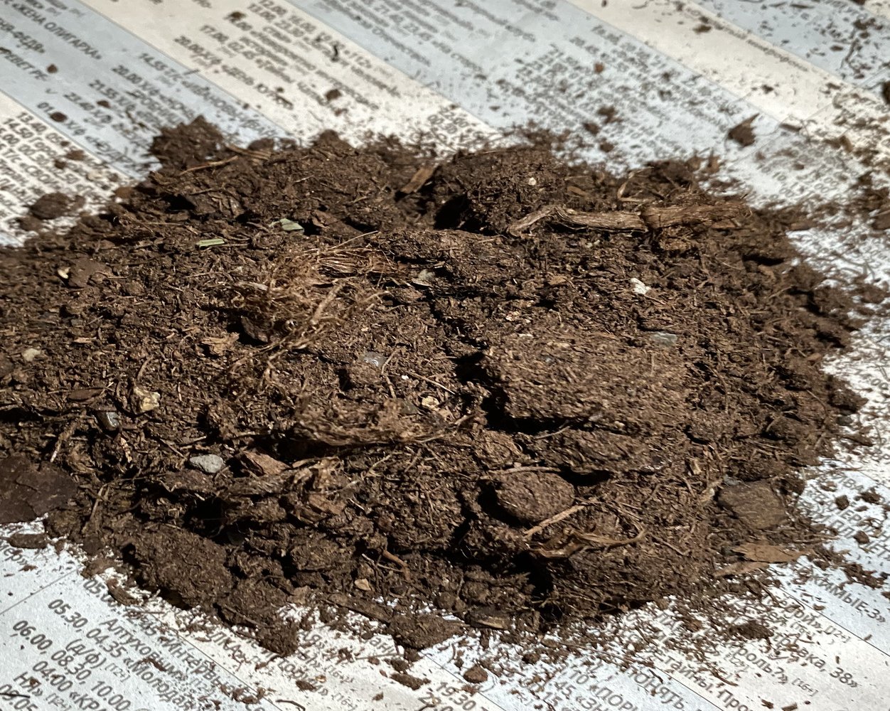 10 лучших грунтов для рассады в 2025 году: секреты правильного выбора